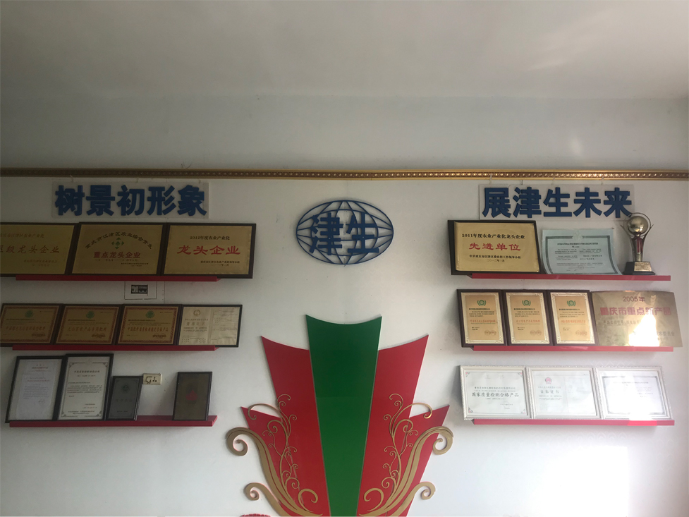 公司荣誉墙