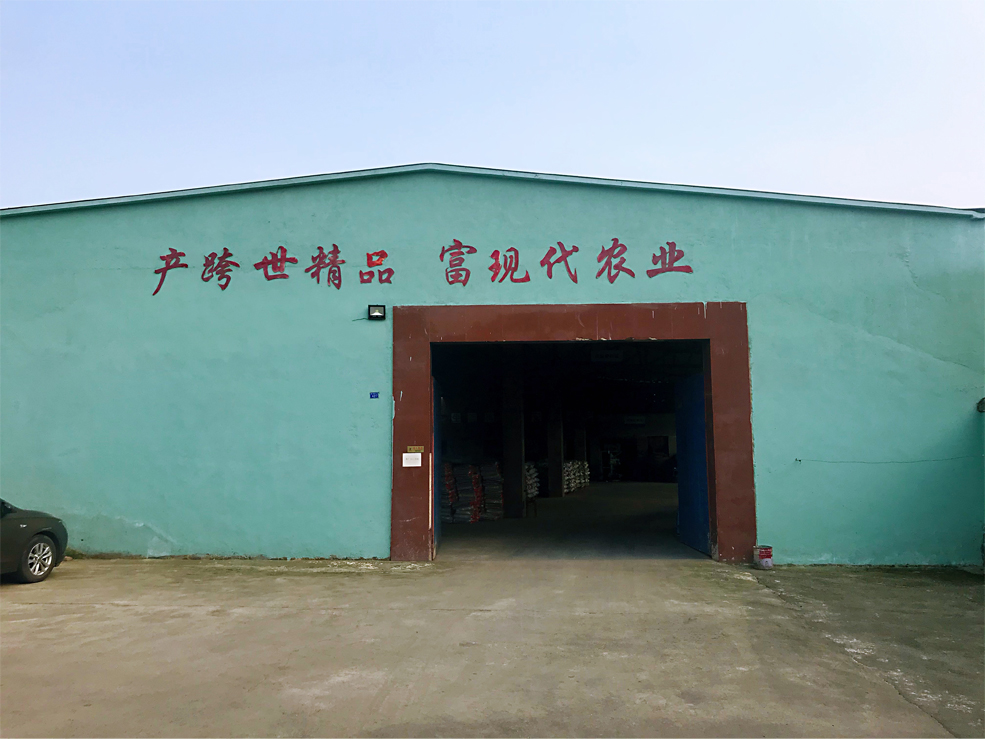 厂区