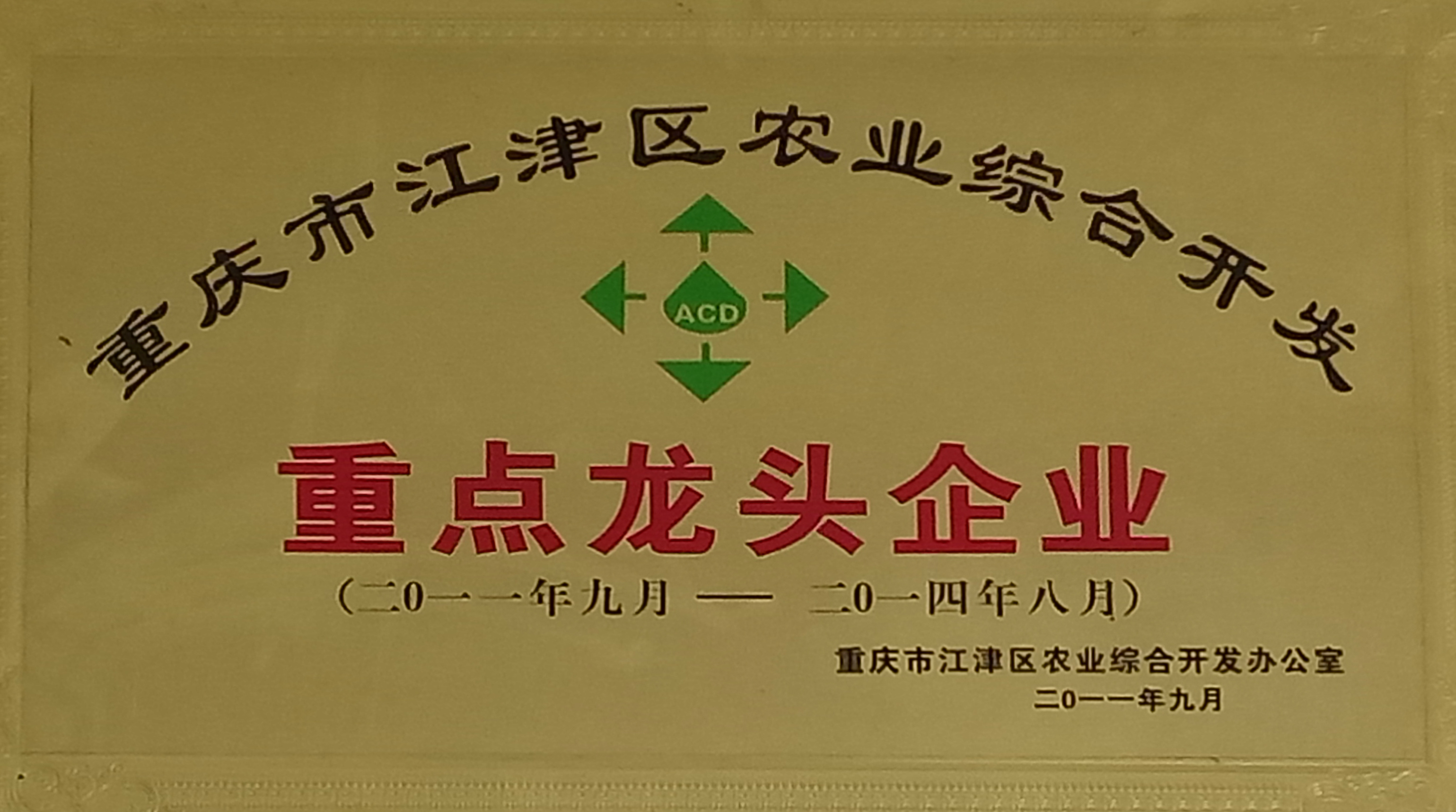 重点龙头企业